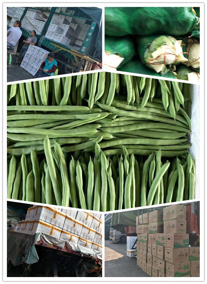 PA视讯(中国)集团官网 - PlayAce