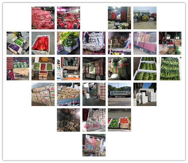 PA视讯(中国)集团官网 - PlayAce