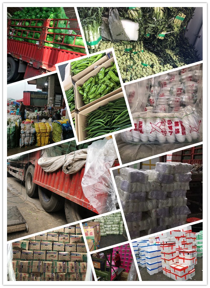 PA视讯(中国)集团官网 - PlayAce