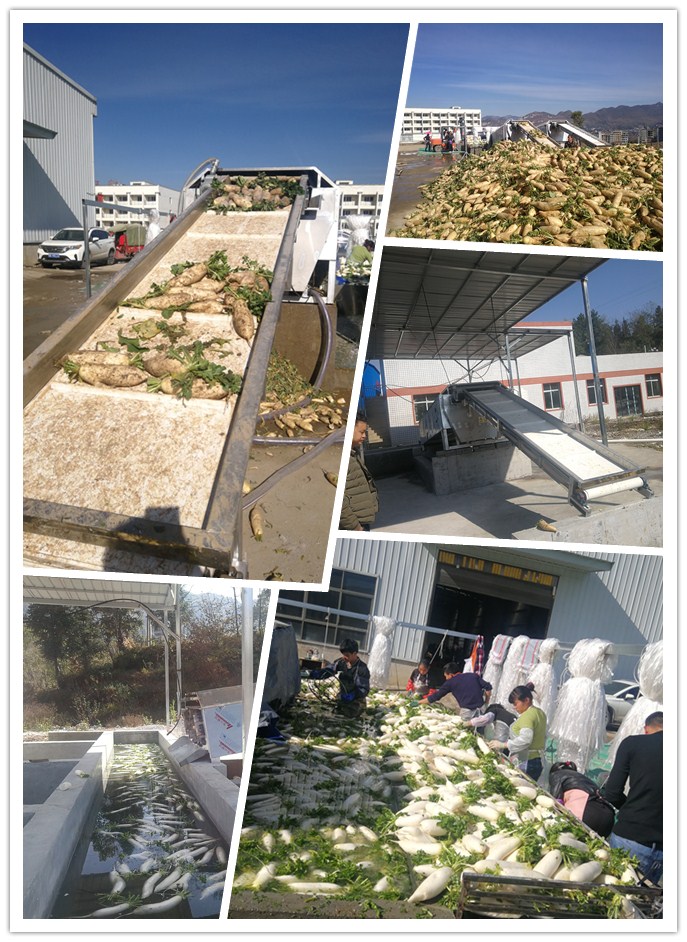 PA视讯(中国)集团官网 - PlayAce