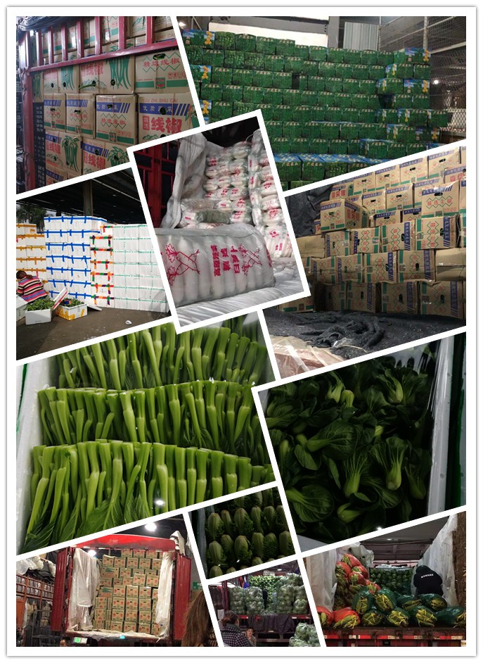 PA视讯(中国)集团官网 - PlayAce