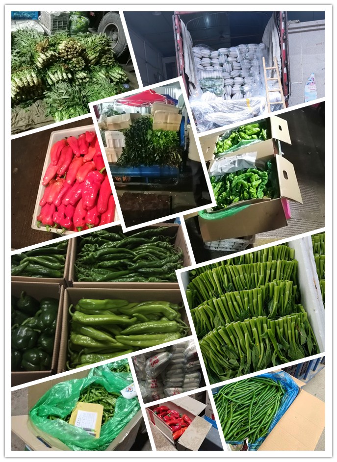 PA视讯(中国)集团官网 - PlayAce