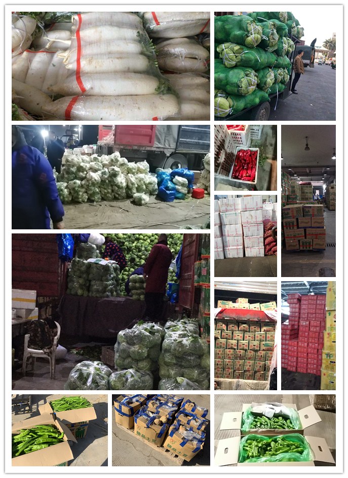 PA视讯(中国)集团官网 - PlayAce