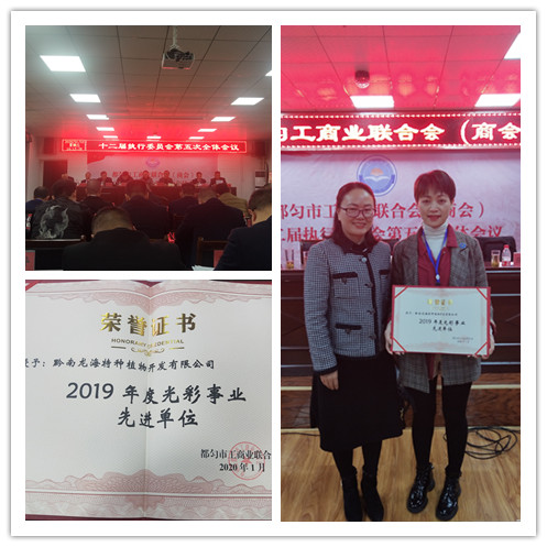 PA视讯(中国)集团官网 - PlayAce