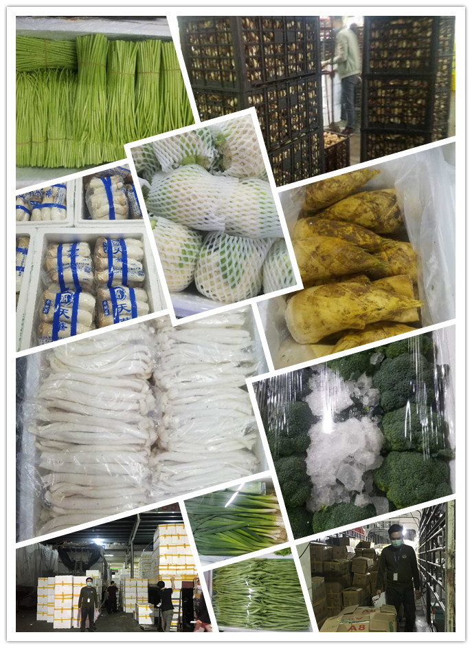 PA视讯(中国)集团官网 - PlayAce