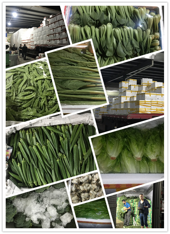 PA视讯(中国)集团官网 - PlayAce