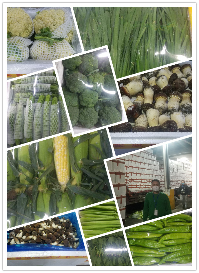 PA视讯(中国)集团官网 - PlayAce