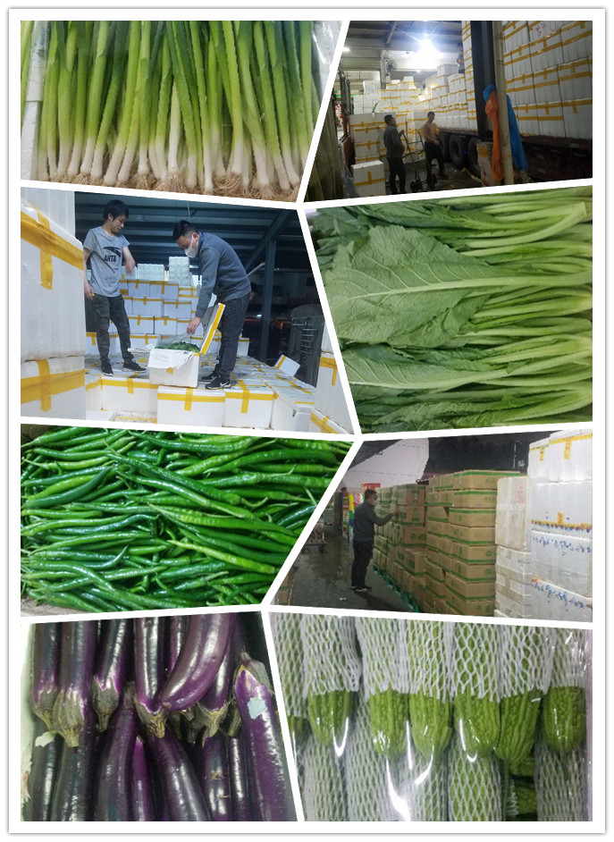 PA视讯(中国)集团官网 - PlayAce