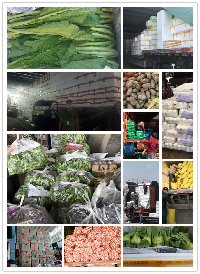 PA视讯(中国)集团官网 - PlayAce