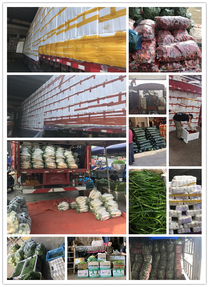 PA视讯(中国)集团官网 - PlayAce