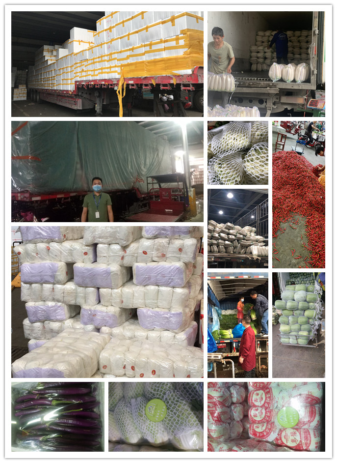 PA视讯(中国)集团官网 - PlayAce