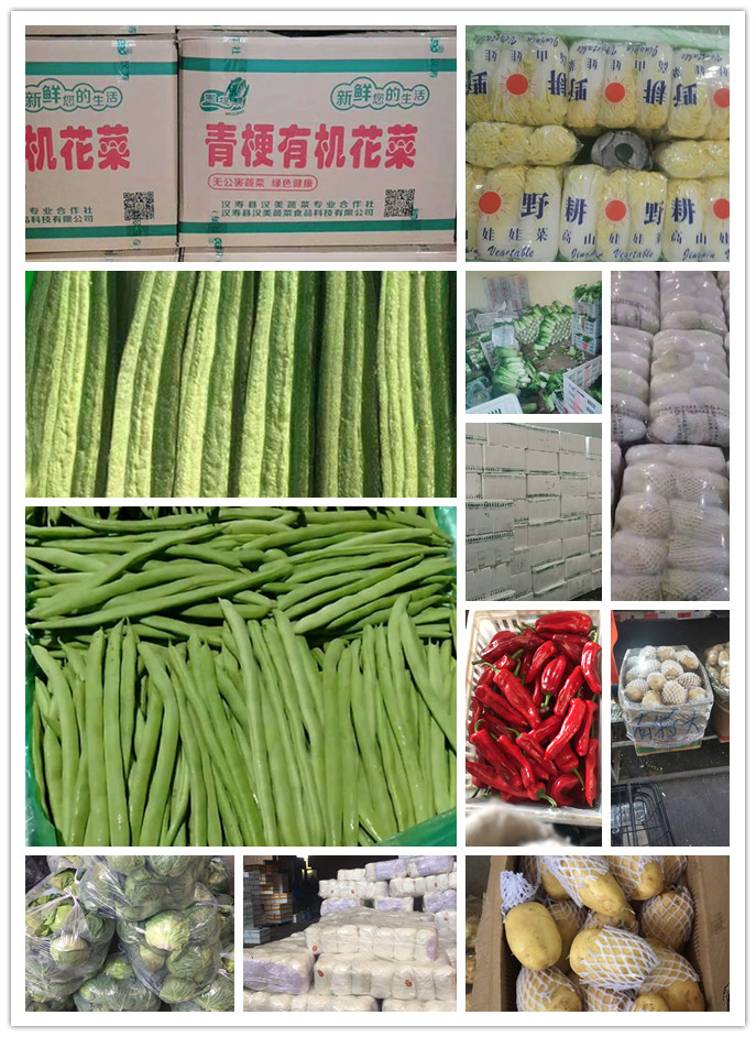 PA视讯(中国)集团官网 - PlayAce