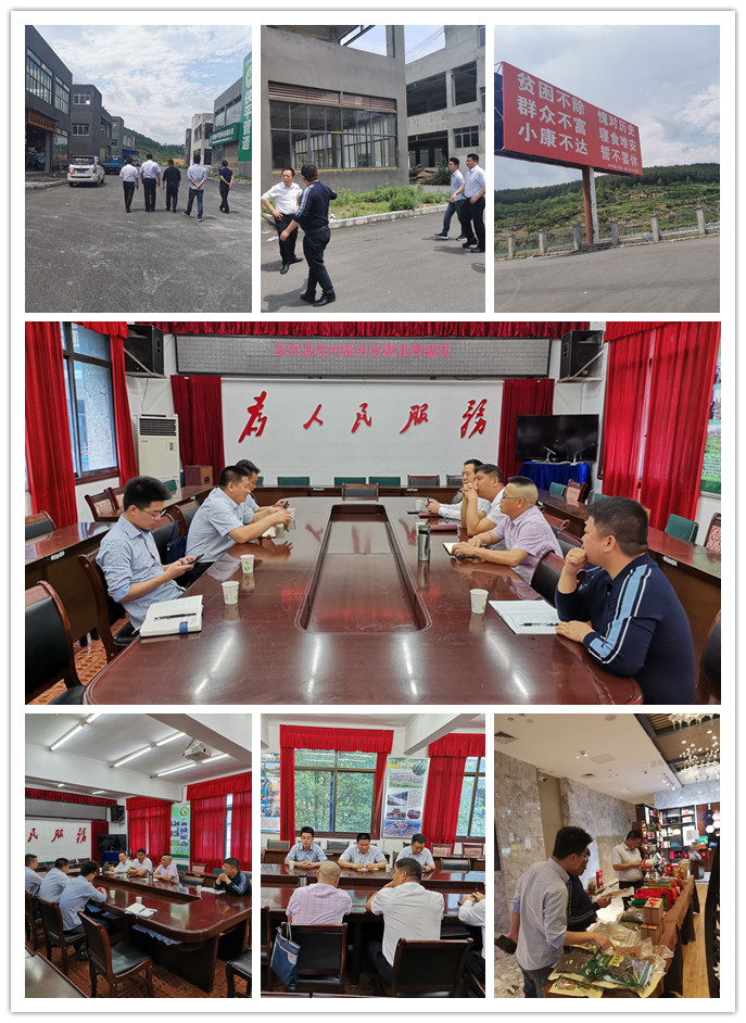 PA视讯(中国)集团官网 - PlayAce