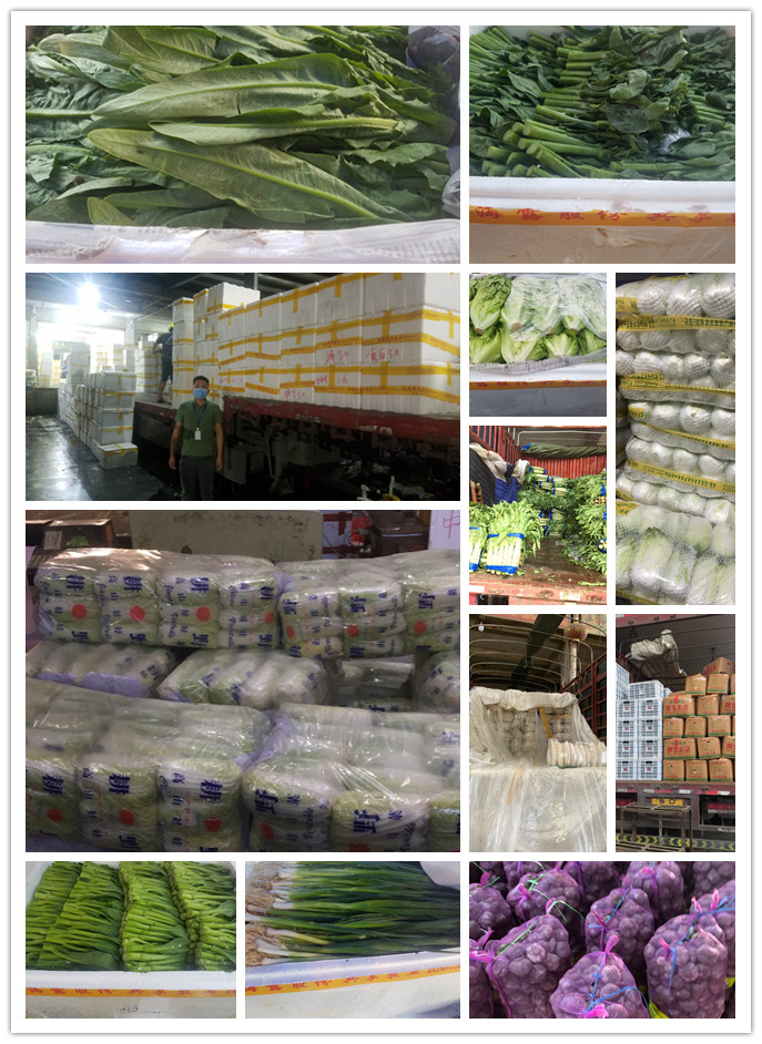 PA视讯(中国)集团官网 - PlayAce