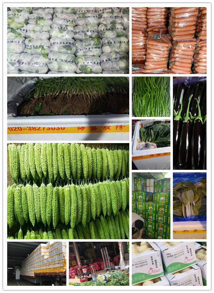 PA视讯(中国)集团官网 - PlayAce