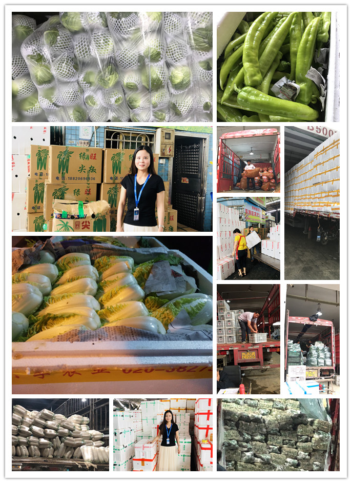 PA视讯(中国)集团官网 - PlayAce