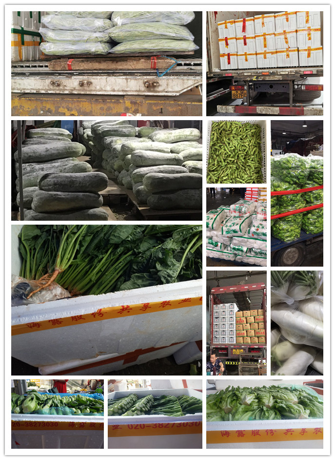 PA视讯(中国)集团官网 - PlayAce