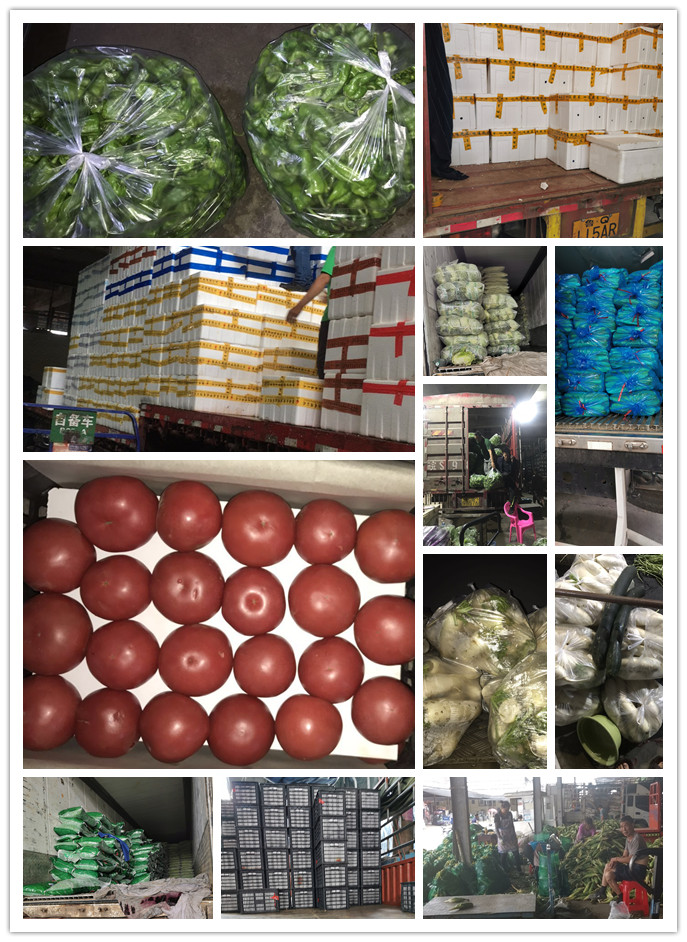 PA视讯(中国)集团官网 - PlayAce