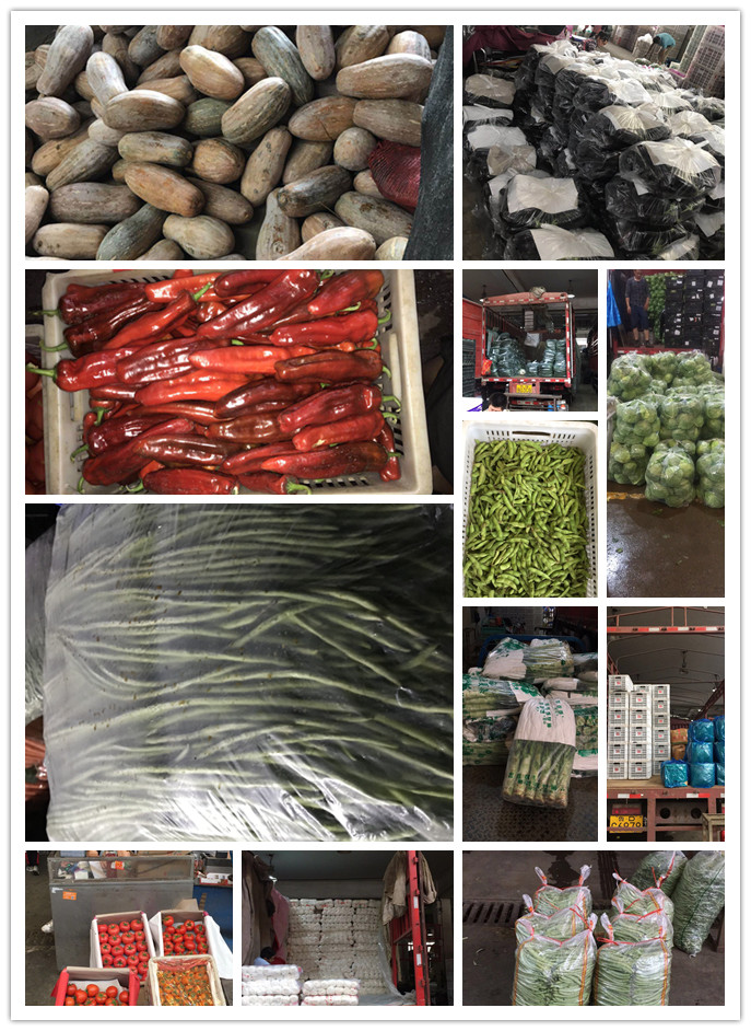 PA视讯(中国)集团官网 - PlayAce