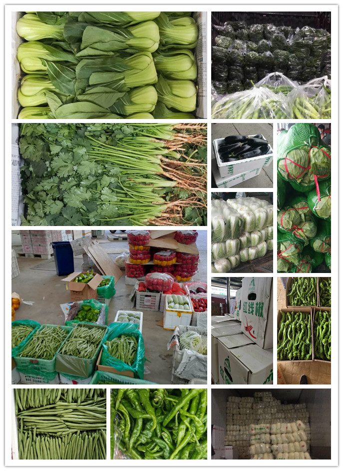 PA视讯(中国)集团官网 - PlayAce