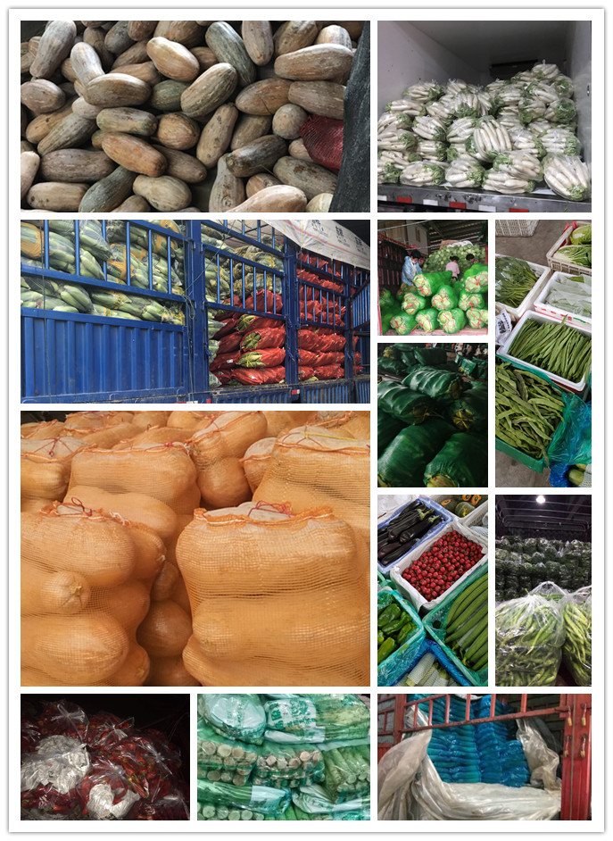 PA视讯(中国)集团官网 - PlayAce