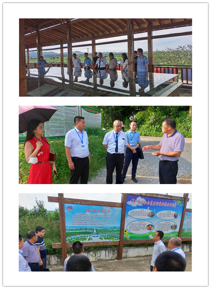 PA视讯(中国)集团官网 - PlayAce