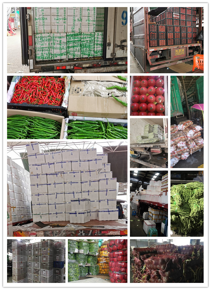 PA视讯(中国)集团官网 - PlayAce