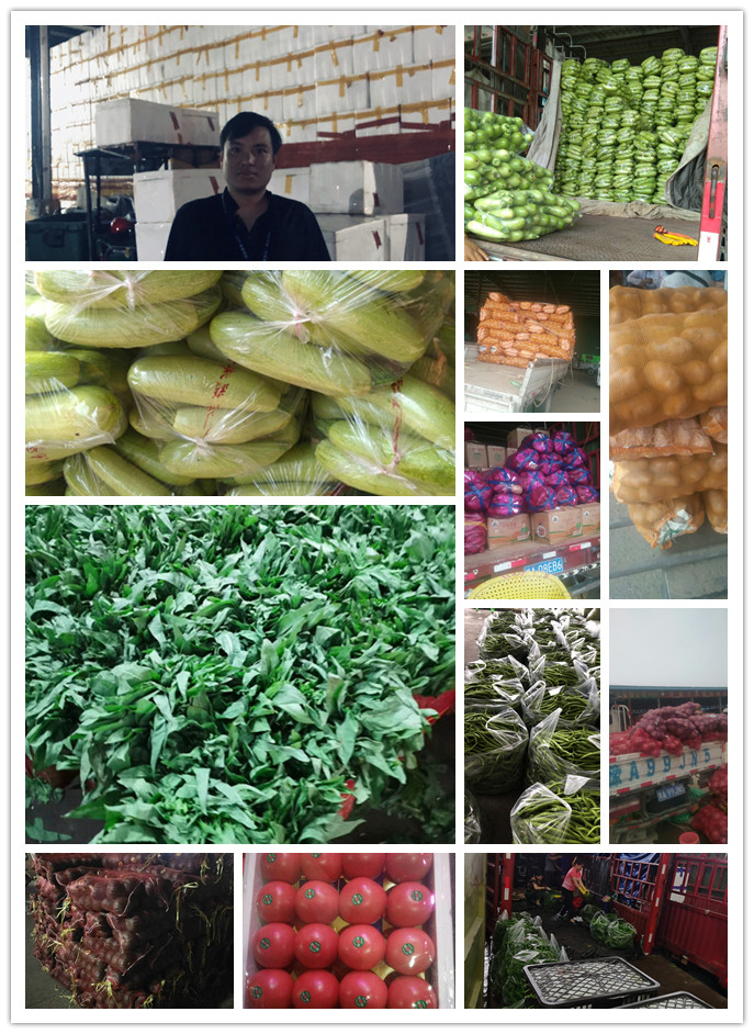 PA视讯(中国)集团官网 - PlayAce