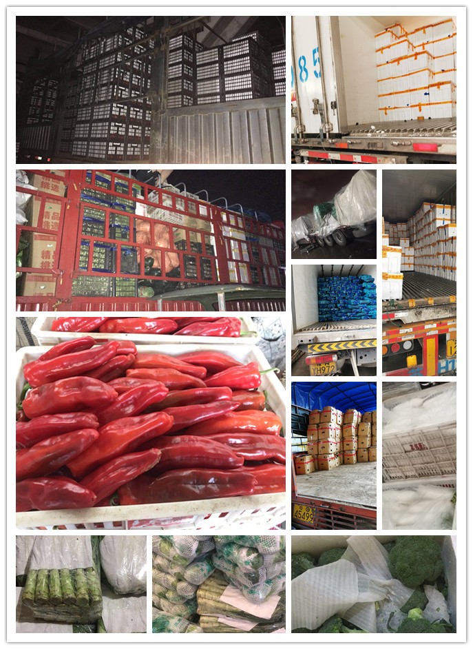 PA视讯(中国)集团官网 - PlayAce