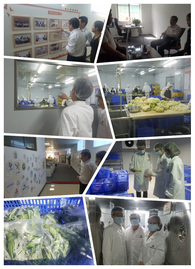 PA视讯(中国)集团官网 - PlayAce