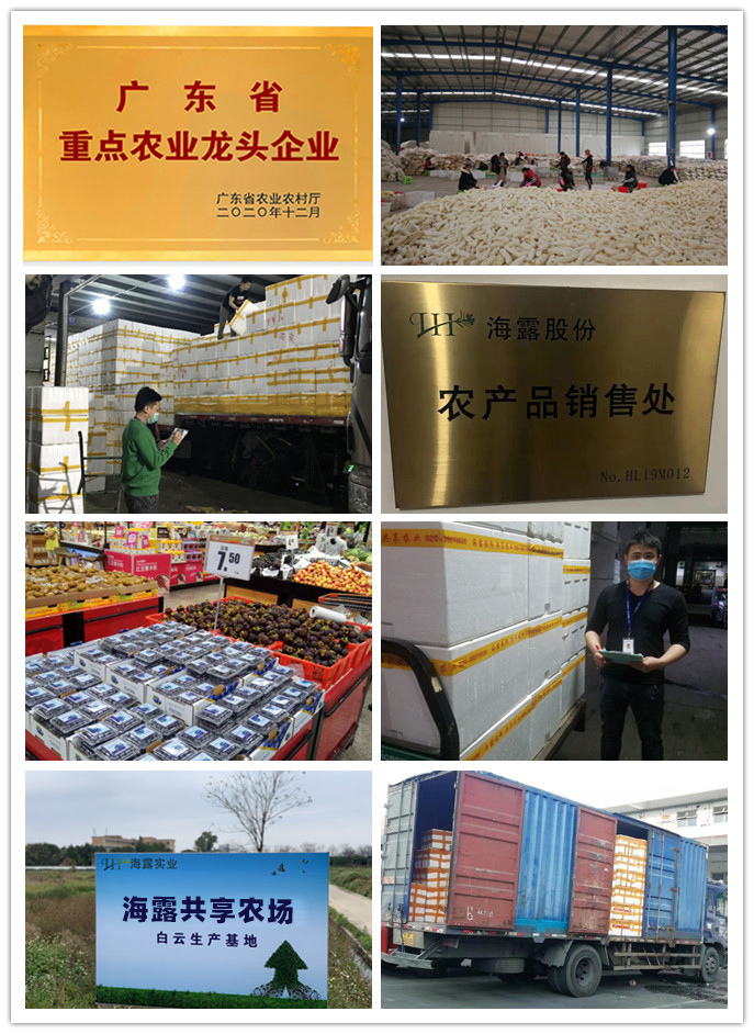 PA视讯(中国)集团官网 - PlayAce