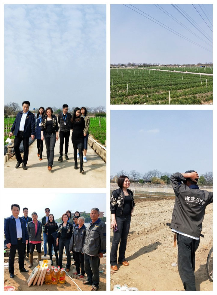 PA视讯(中国)集团官网 - PlayAce