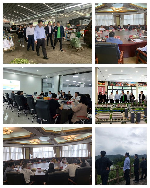 PA视讯(中国)集团官网 - PlayAce