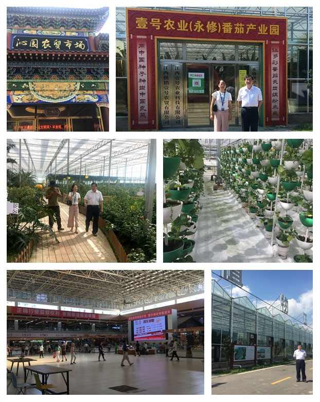 PA视讯(中国)集团官网 - PlayAce