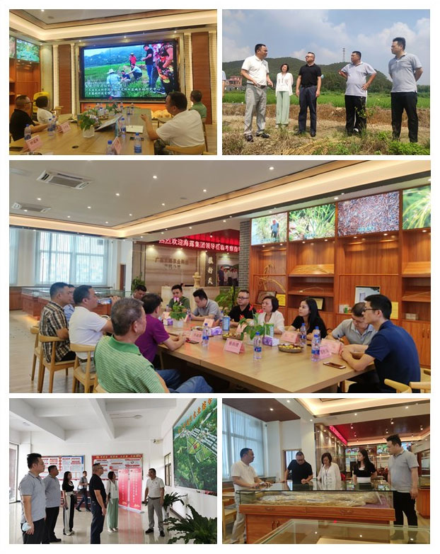 PA视讯(中国)集团官网 - PlayAce