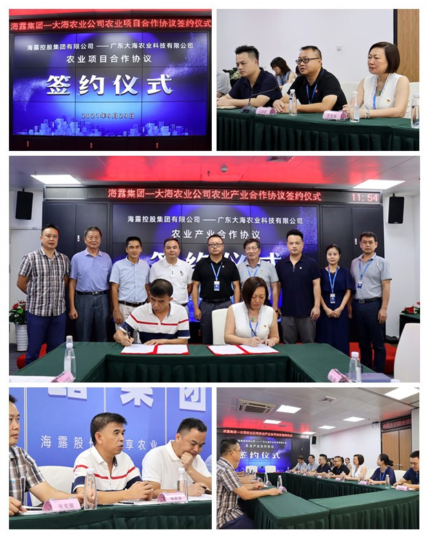 PA视讯(中国)集团官网 - PlayAce