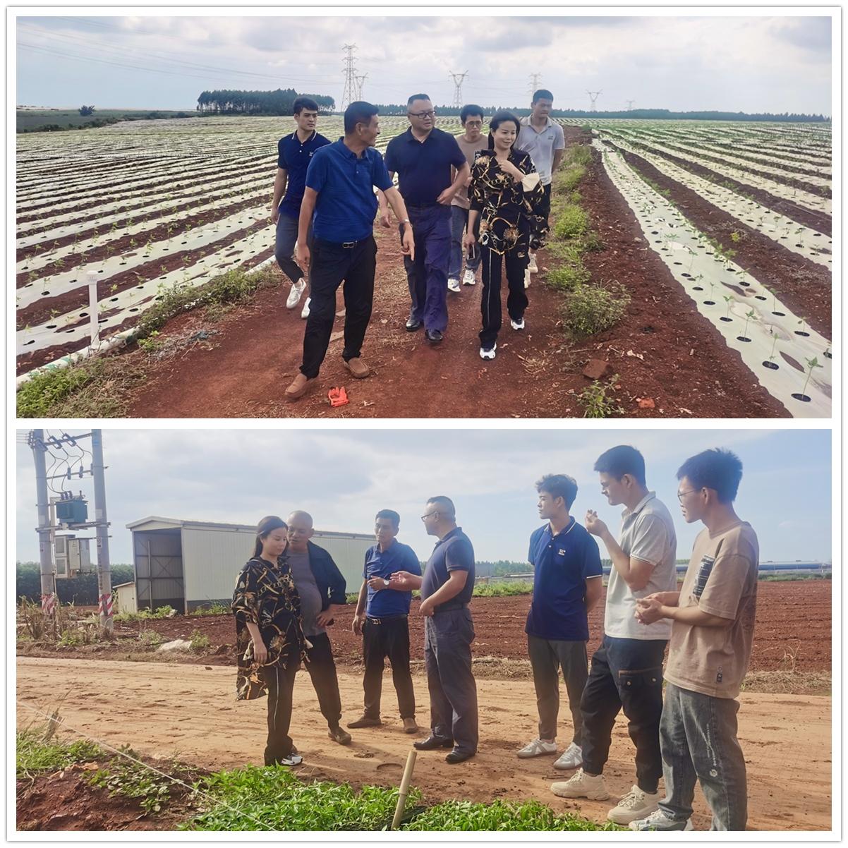 PA视讯(中国)集团官网 - PlayAce