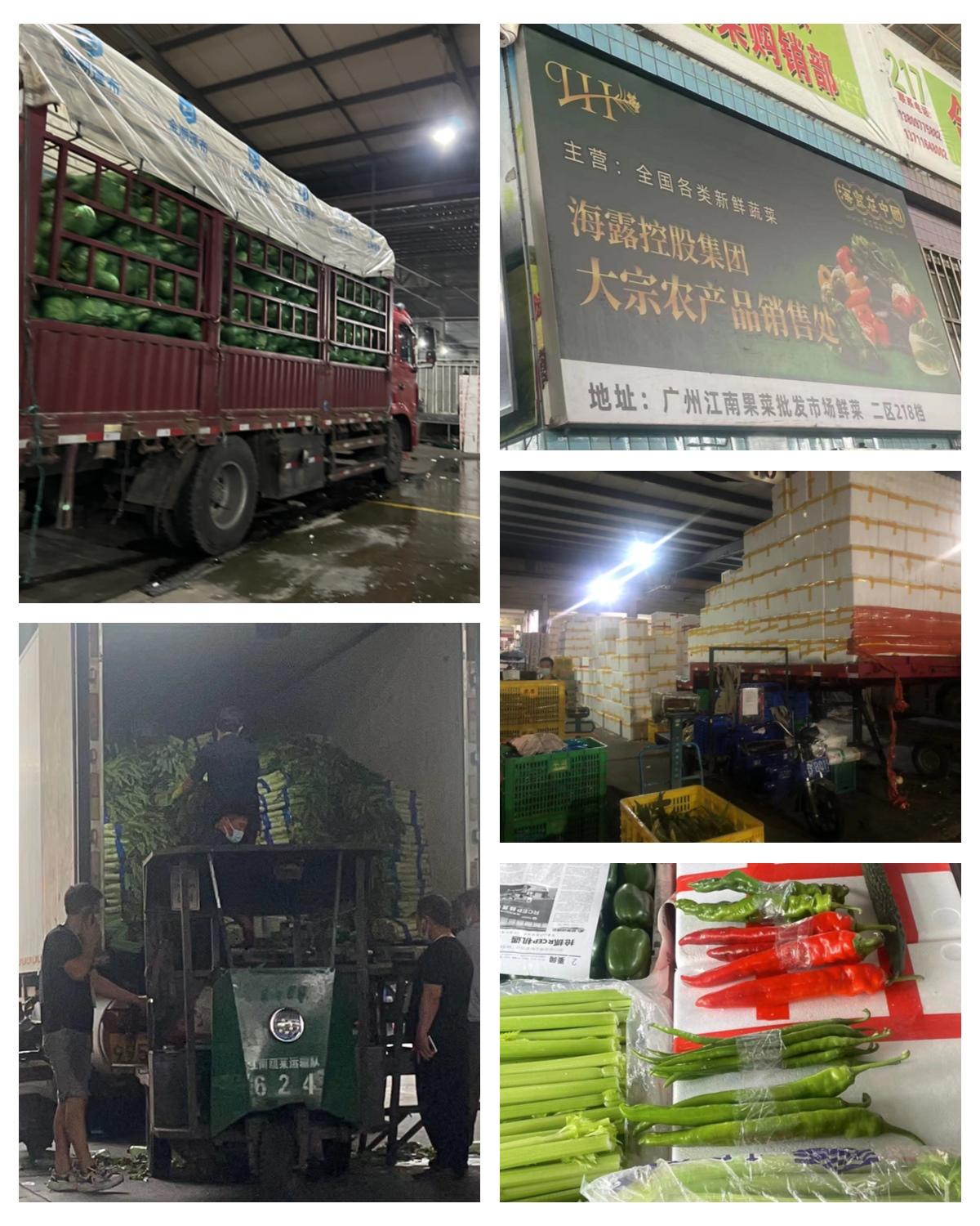 PA视讯(中国)集团官网 - PlayAce