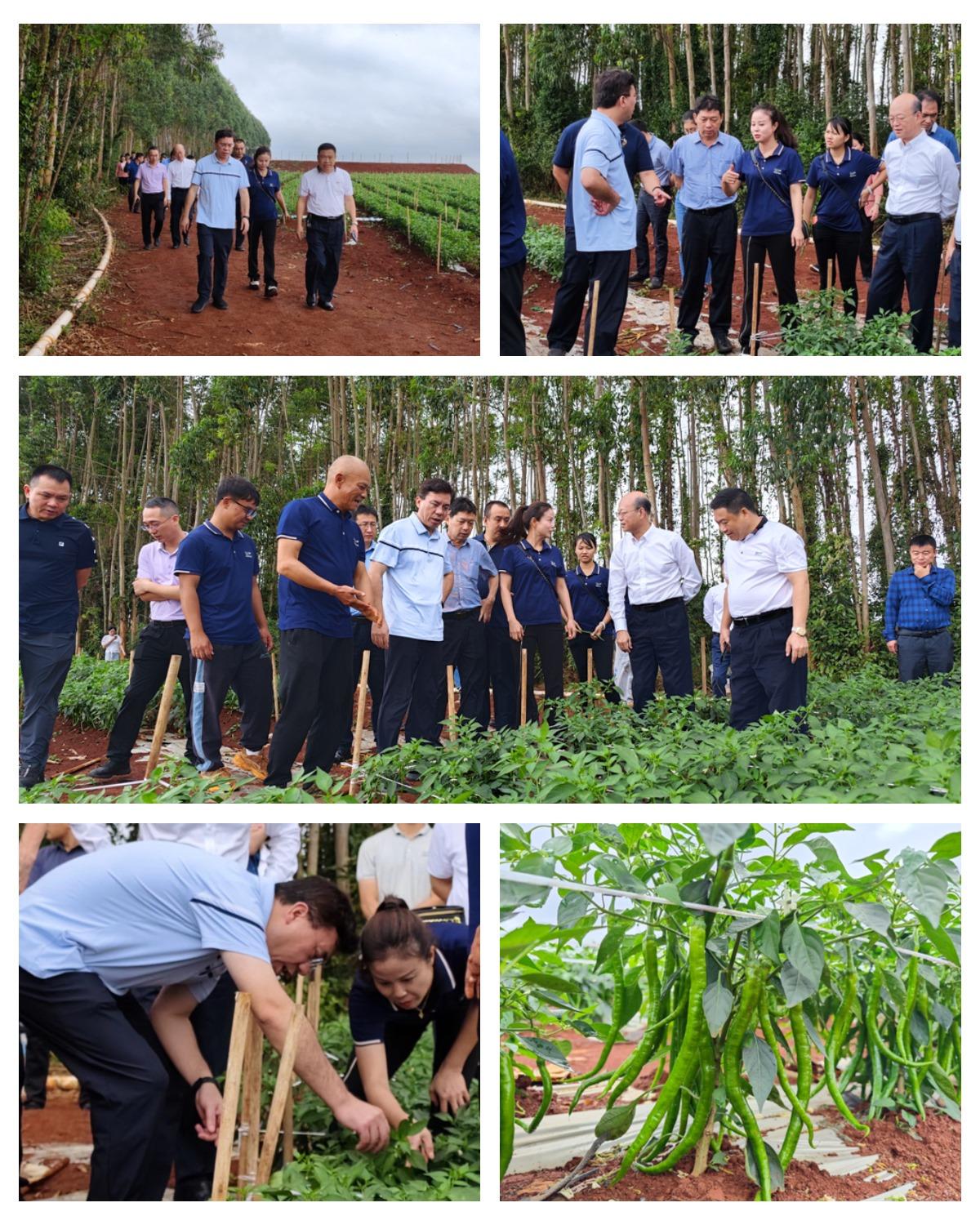 PA视讯(中国)集团官网 - PlayAce