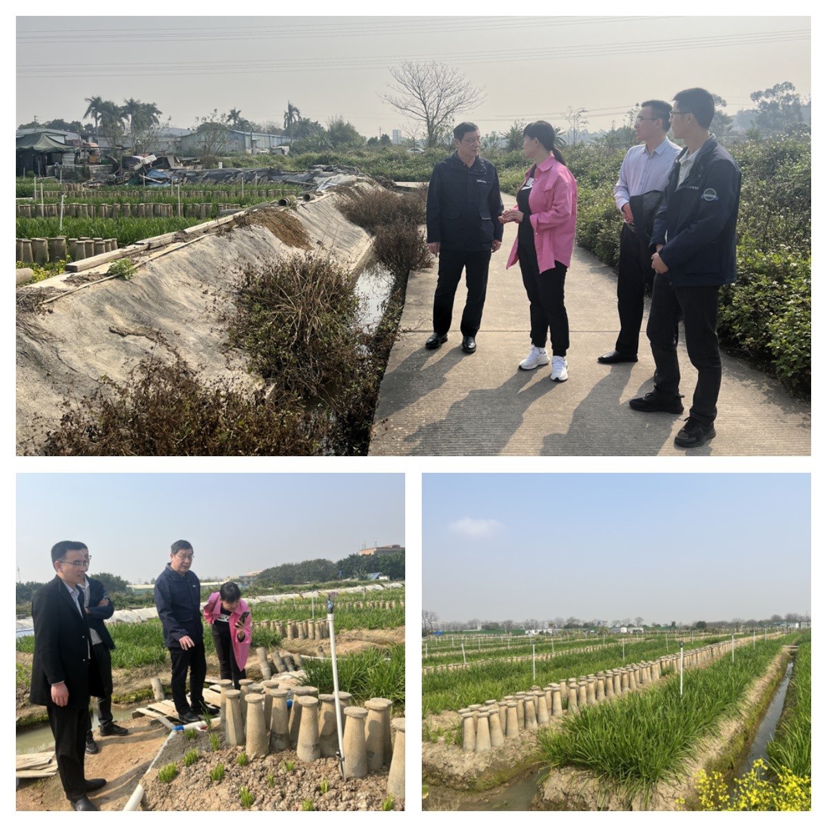 PA视讯(中国)集团官网 - PlayAce