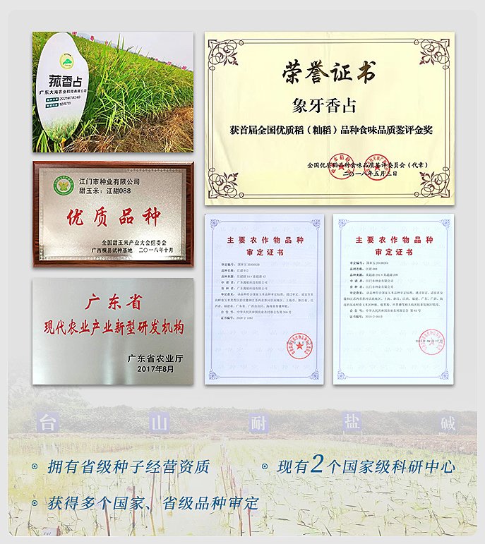 PA视讯(中国)集团官网 - PlayAce