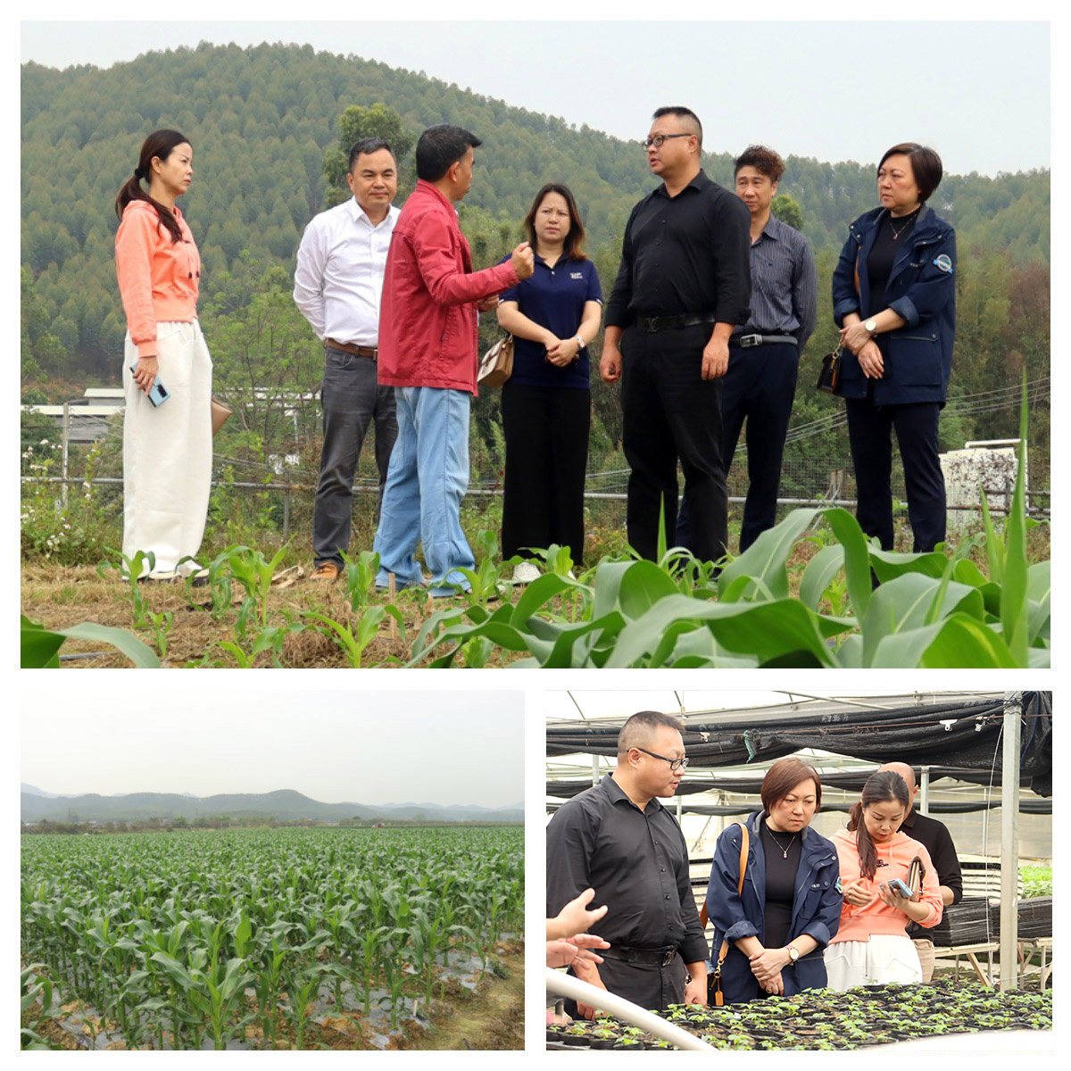 PA视讯(中国)集团官网 - PlayAce