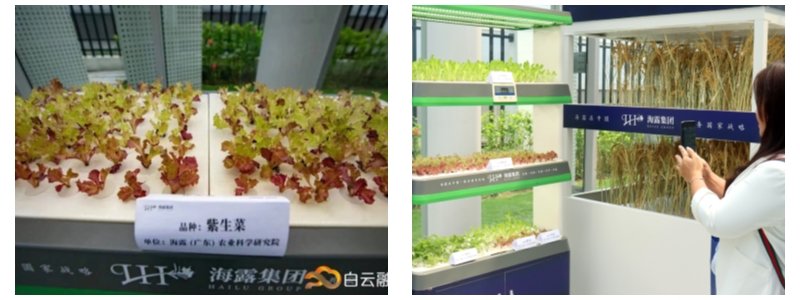 PA视讯(中国)集团官网 - PlayAce