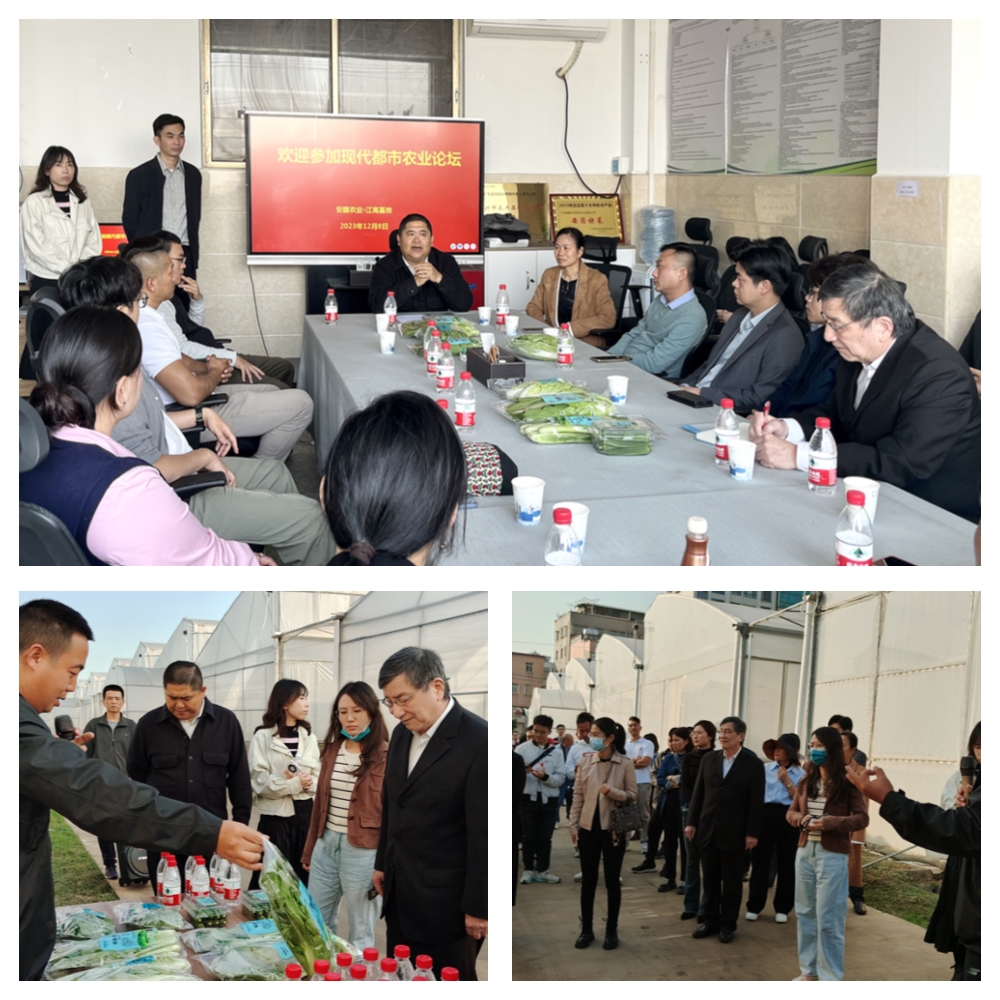 PA视讯(中国)集团官网 - PlayAce