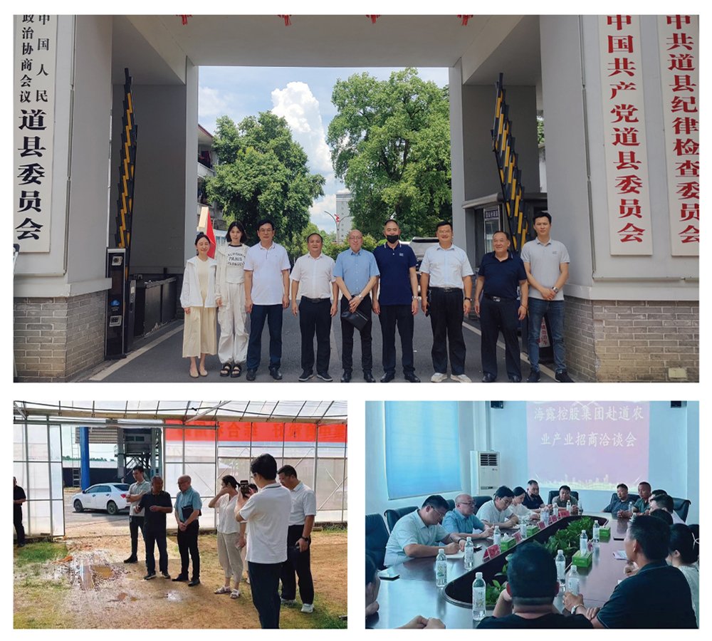 PA视讯(中国)集团官网 - PlayAce