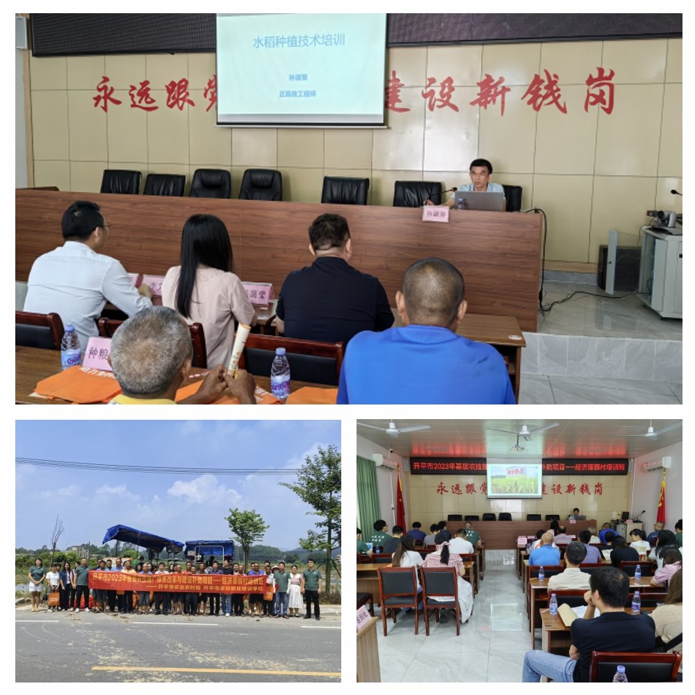 PA视讯(中国)集团官网 - PlayAce