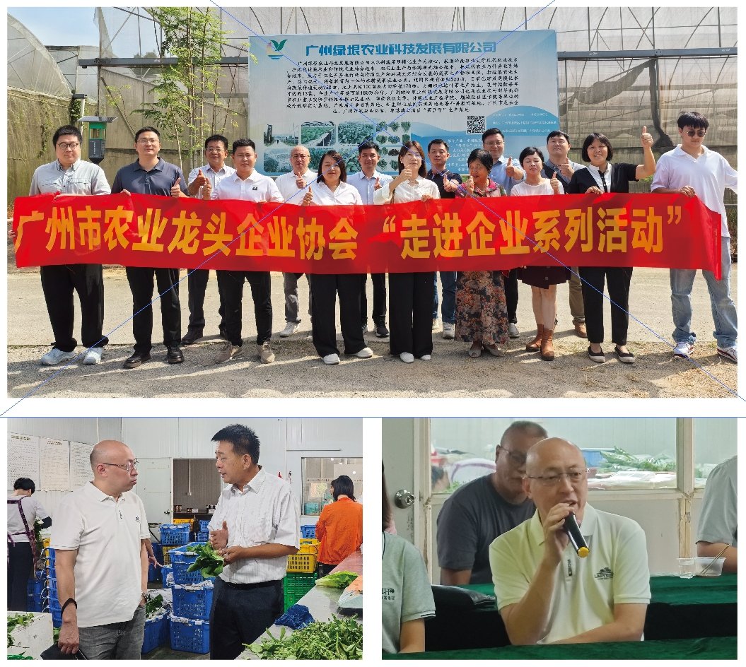 PA视讯(中国)集团官网 - PlayAce