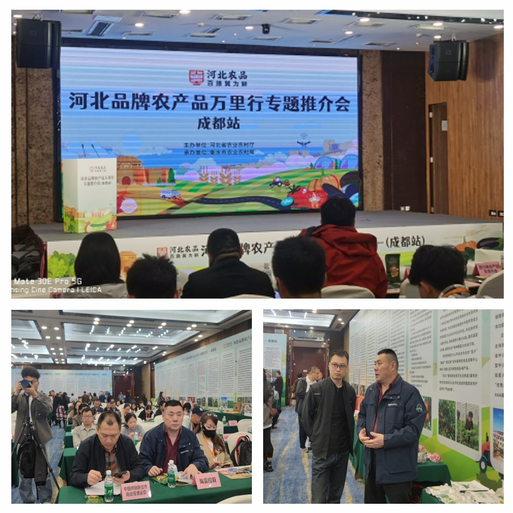 PA视讯(中国)集团官网 - PlayAce