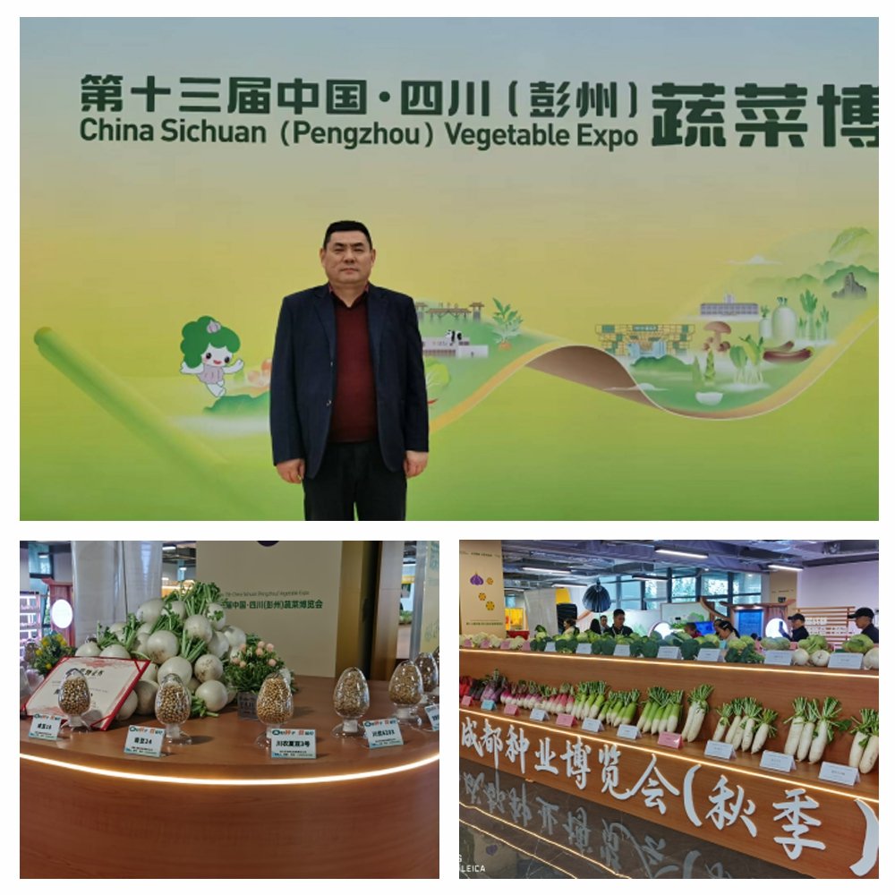 PA视讯(中国)集团官网 - PlayAce