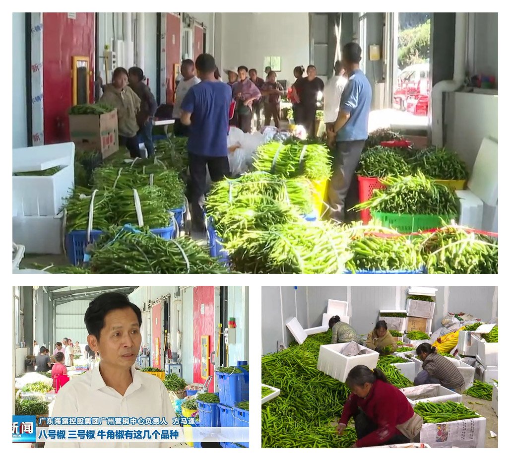 PA视讯(中国)集团官网 - PlayAce